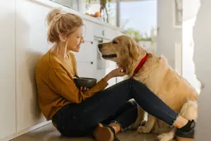 Image representing Human & Animal Nutrition/Health 