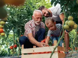 Image representing Agrochemicals 